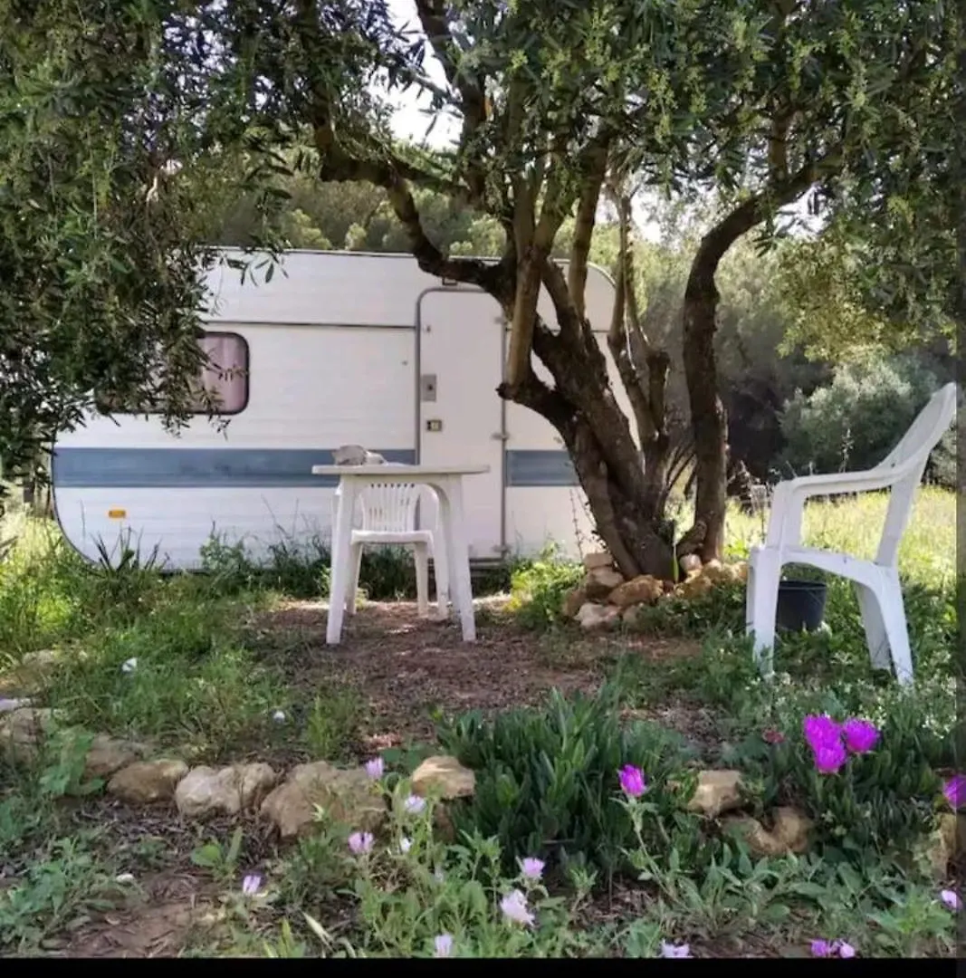 Caravana Acogedora Con Piscina 