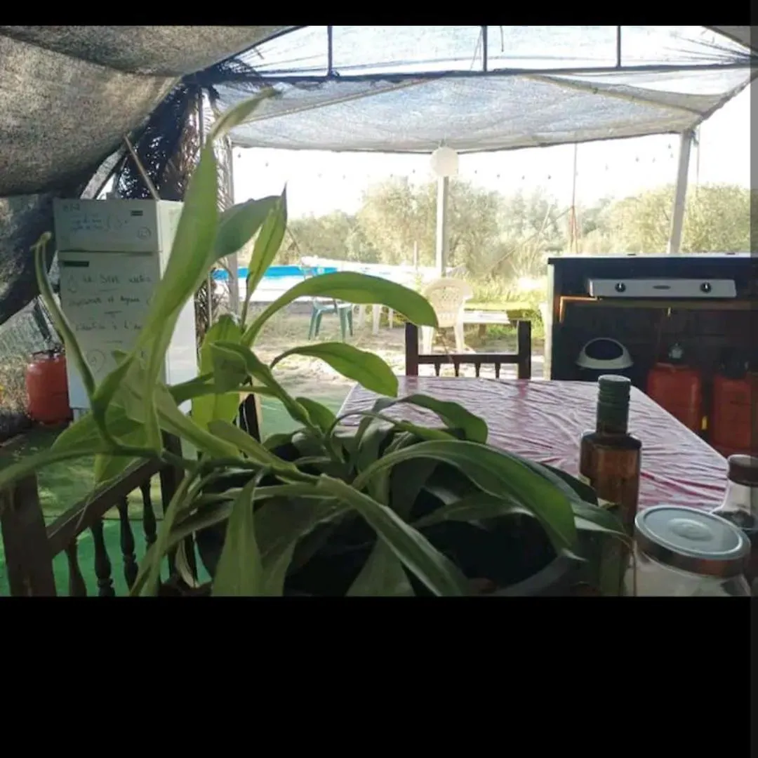 Caravana Acogedora Con Piscina 